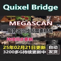 Megascan quixel Bridge高清贴图模型8K UE5 3DMAX资源材质球素材